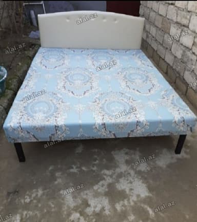 Kravat
Taza