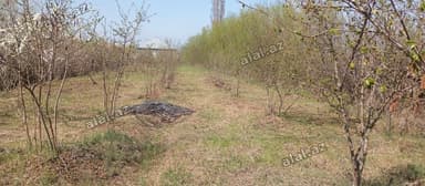 8 sot, Kənd təsərrüfatı, Barter mümkündür, Kupça (Çıxarış)