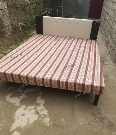 Kravat 
Taza