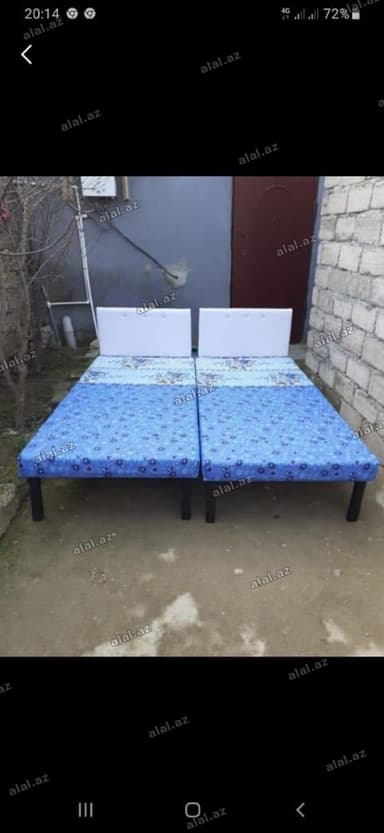 Kravat
Taza