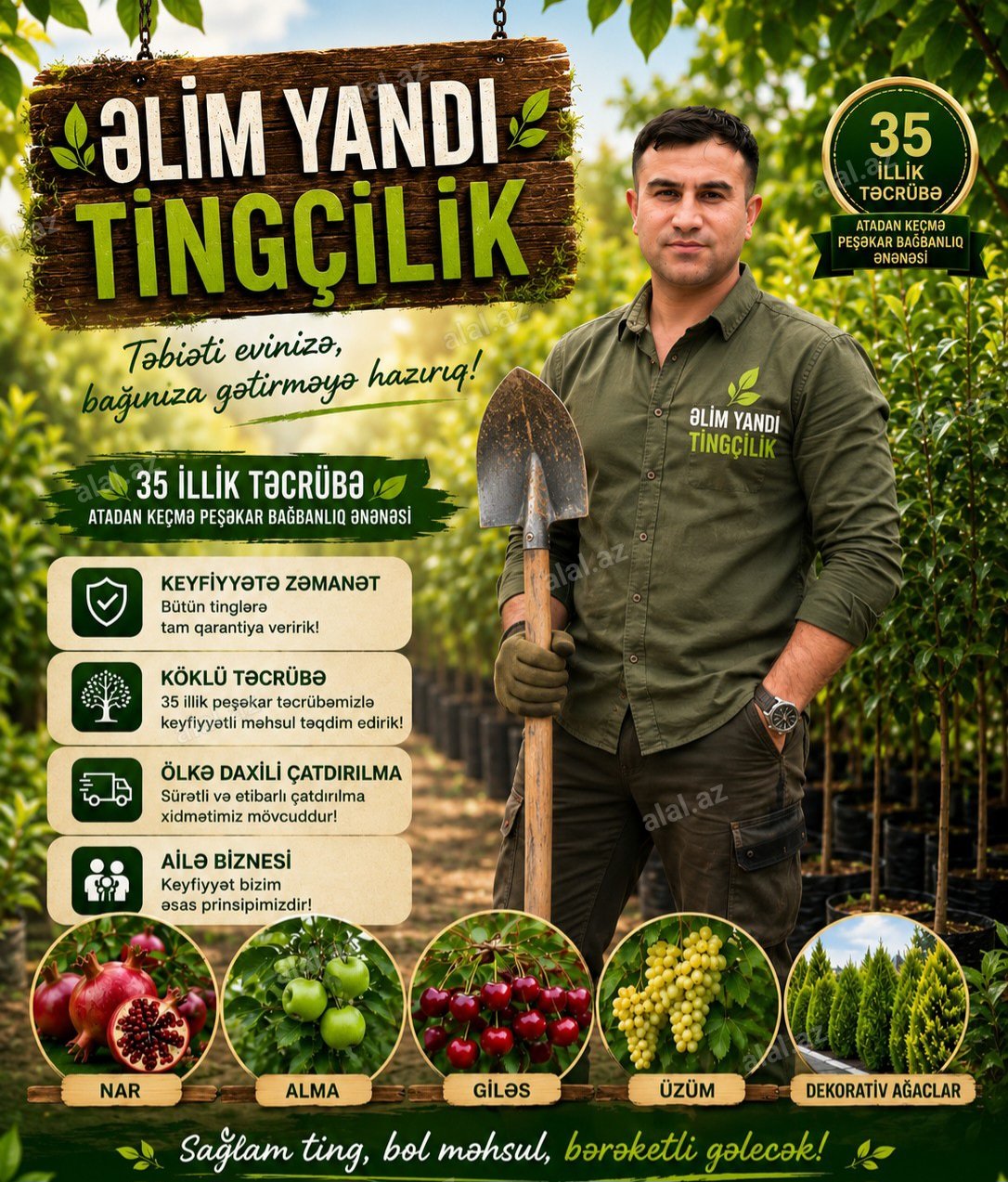 Saqi Tingçilik