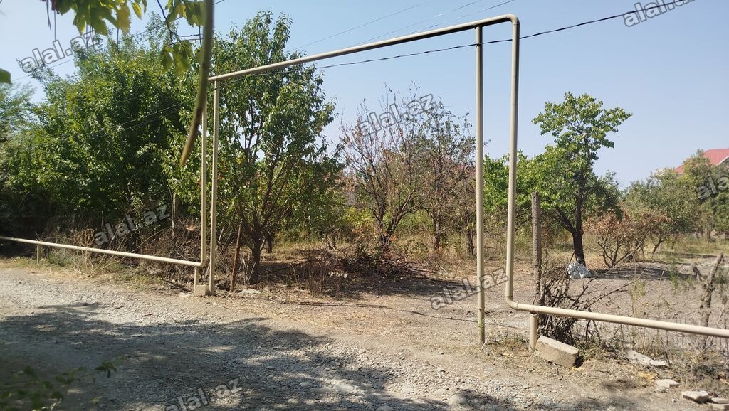 8 sot, Tikinti, Mülkiyyətçi, Kupça (Çıxarış)