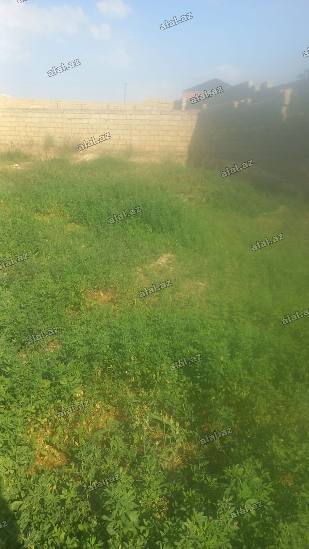 4 sot, Tikinti, Mülkiyyətçi, Kupça (Çıxarış)