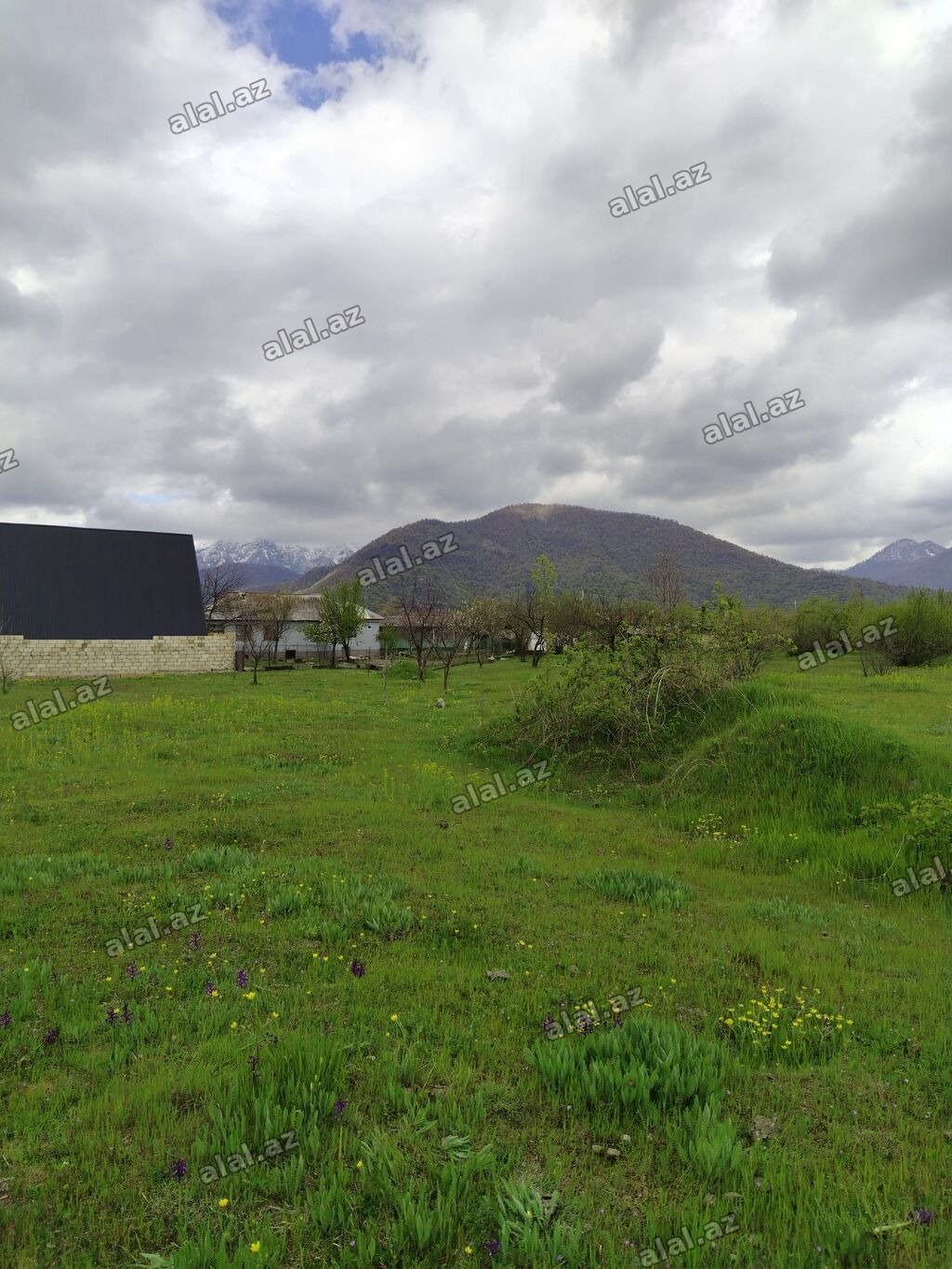 5 sot, Tikinti, Mülkiyyətçi, Kupça (Çıxarış)