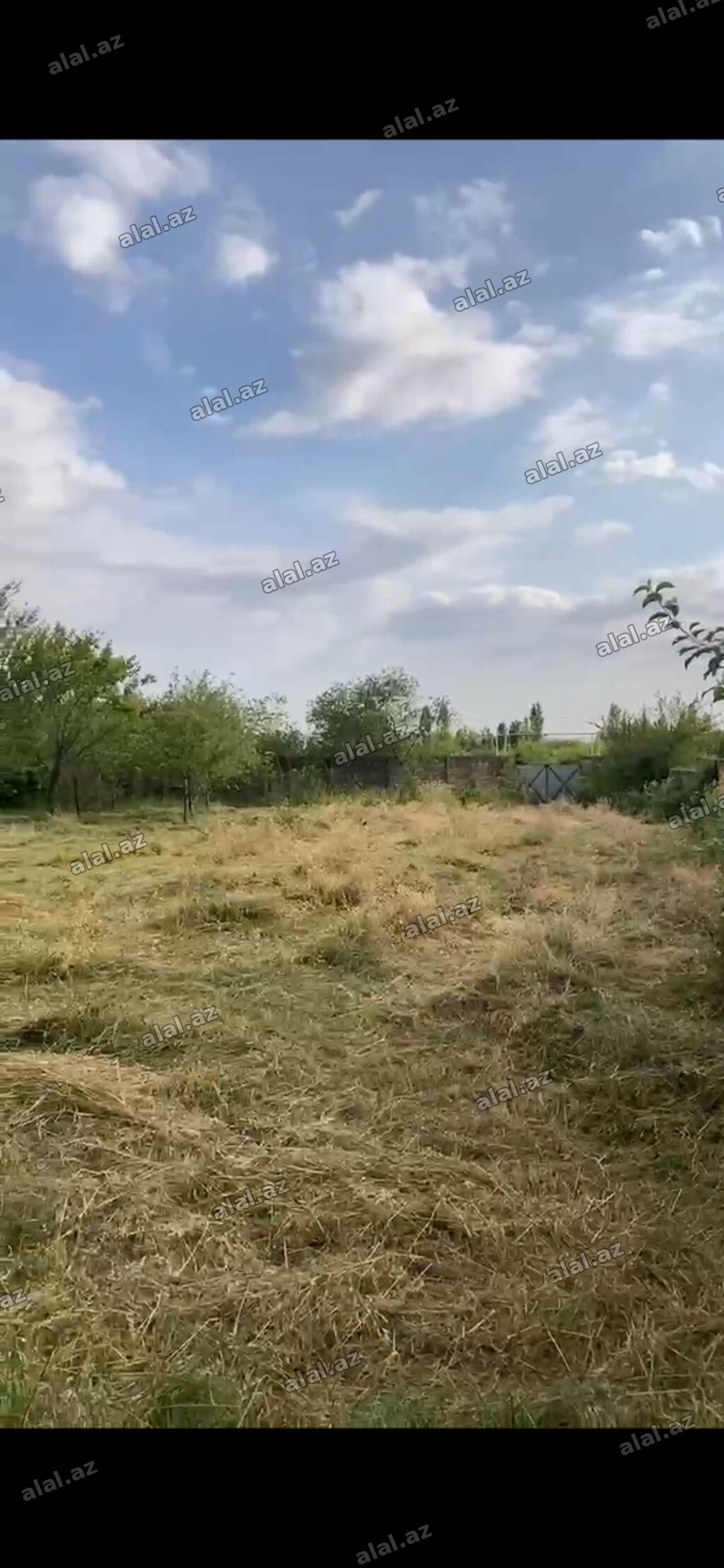 12 sot, Mülkiyyətçi, Kupça (Çıxarış)