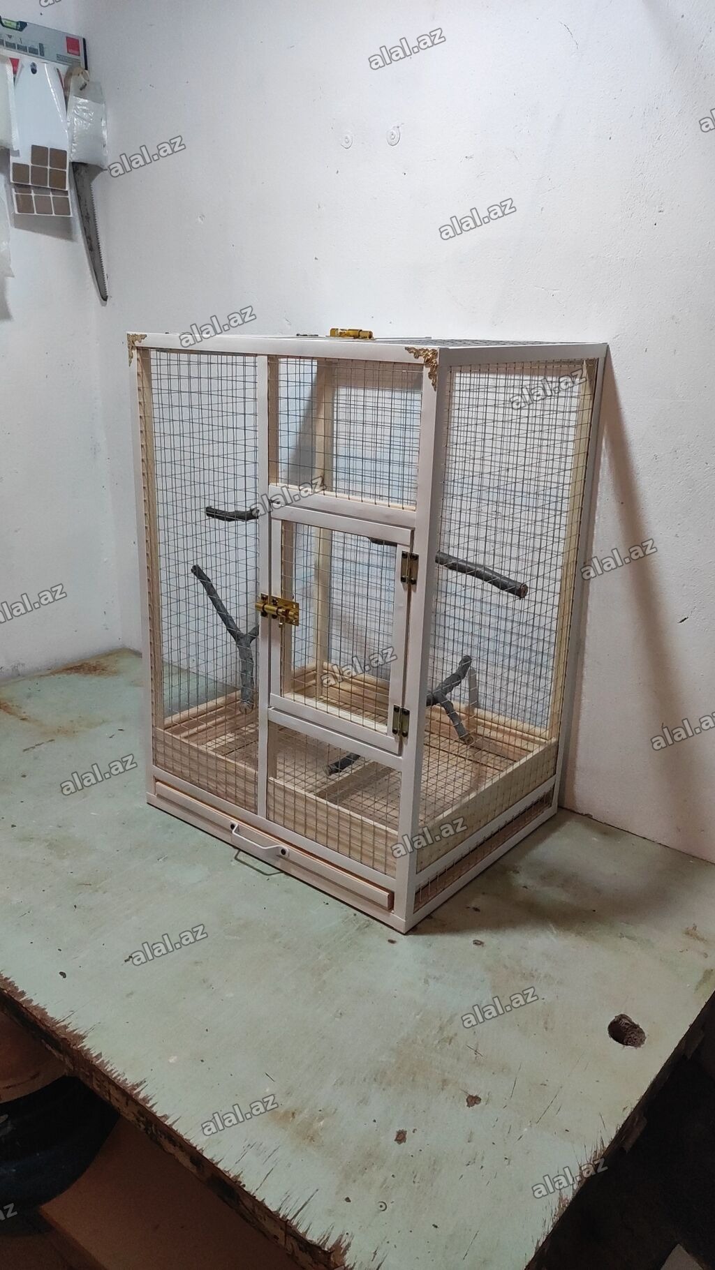 Papuqay,dovşan,hamster,şinşila,bildirçin,cücə,xamyak,pişik,quş,tısbağa