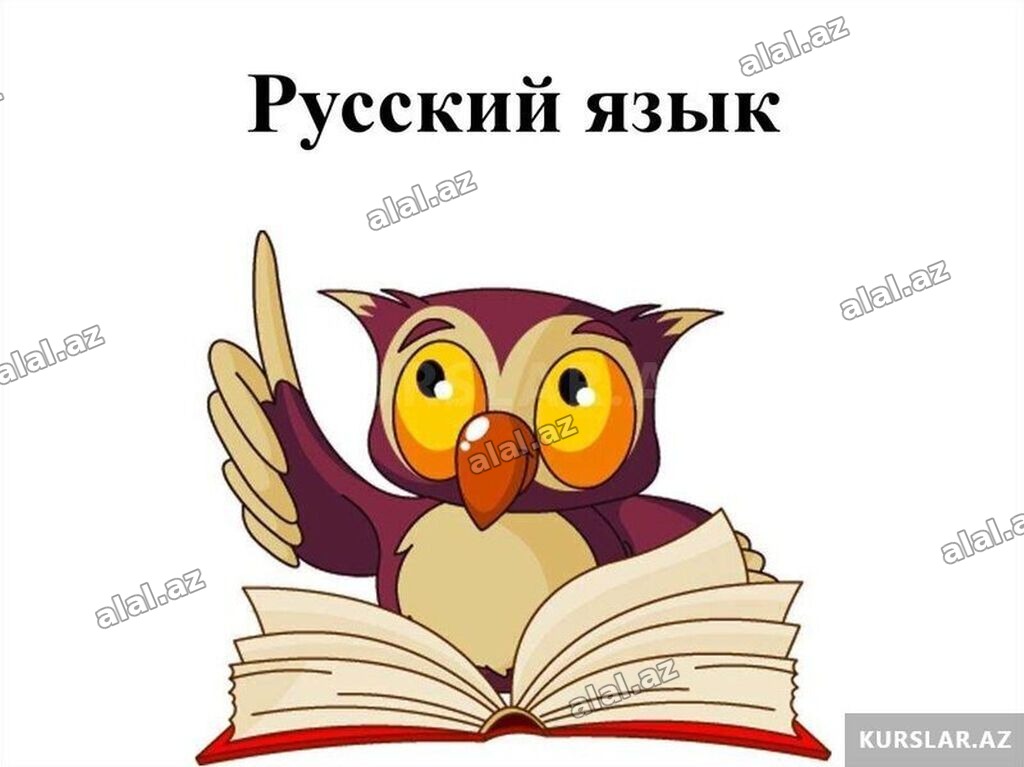 Məktəbəqədər təhsil müəllimi, 1-2 illik təcrübə, Dəyişən qrafik