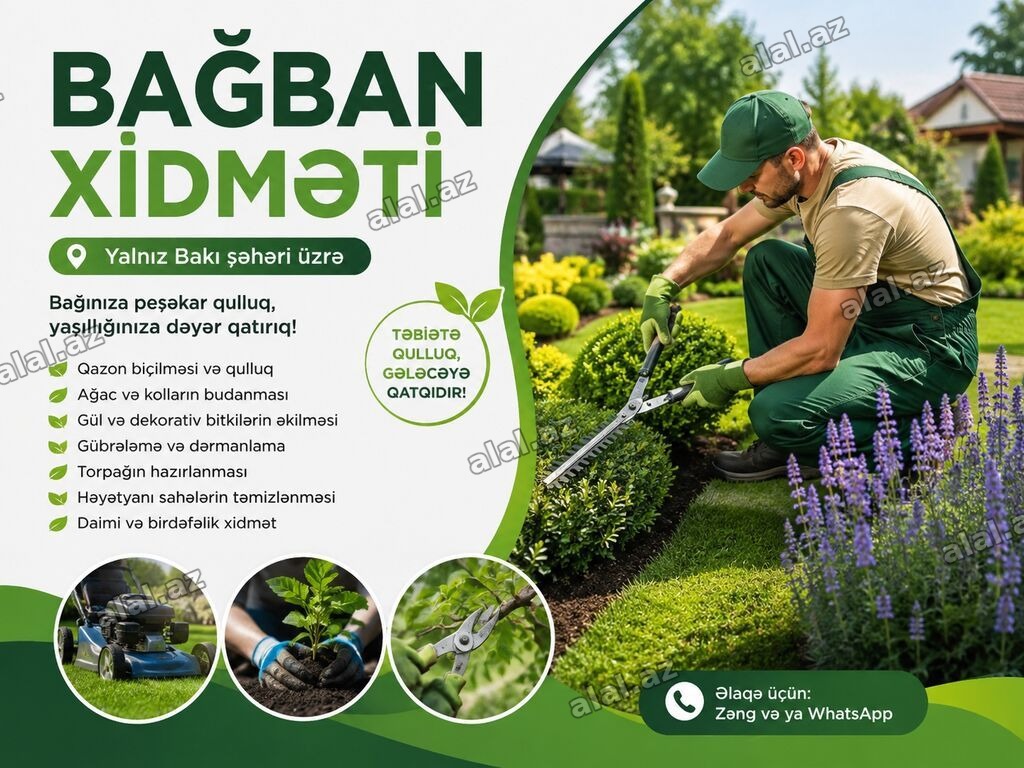 🌿 BAĞBAN XİDMƏTİ 🌿 🏡 Həyətlərə, 🏢 ofislərə və müxtəlif ərazilərə