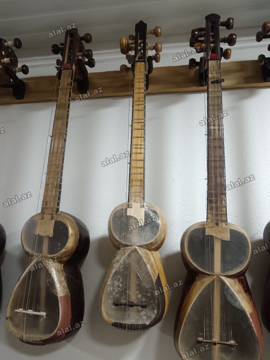 Tələbə tarları