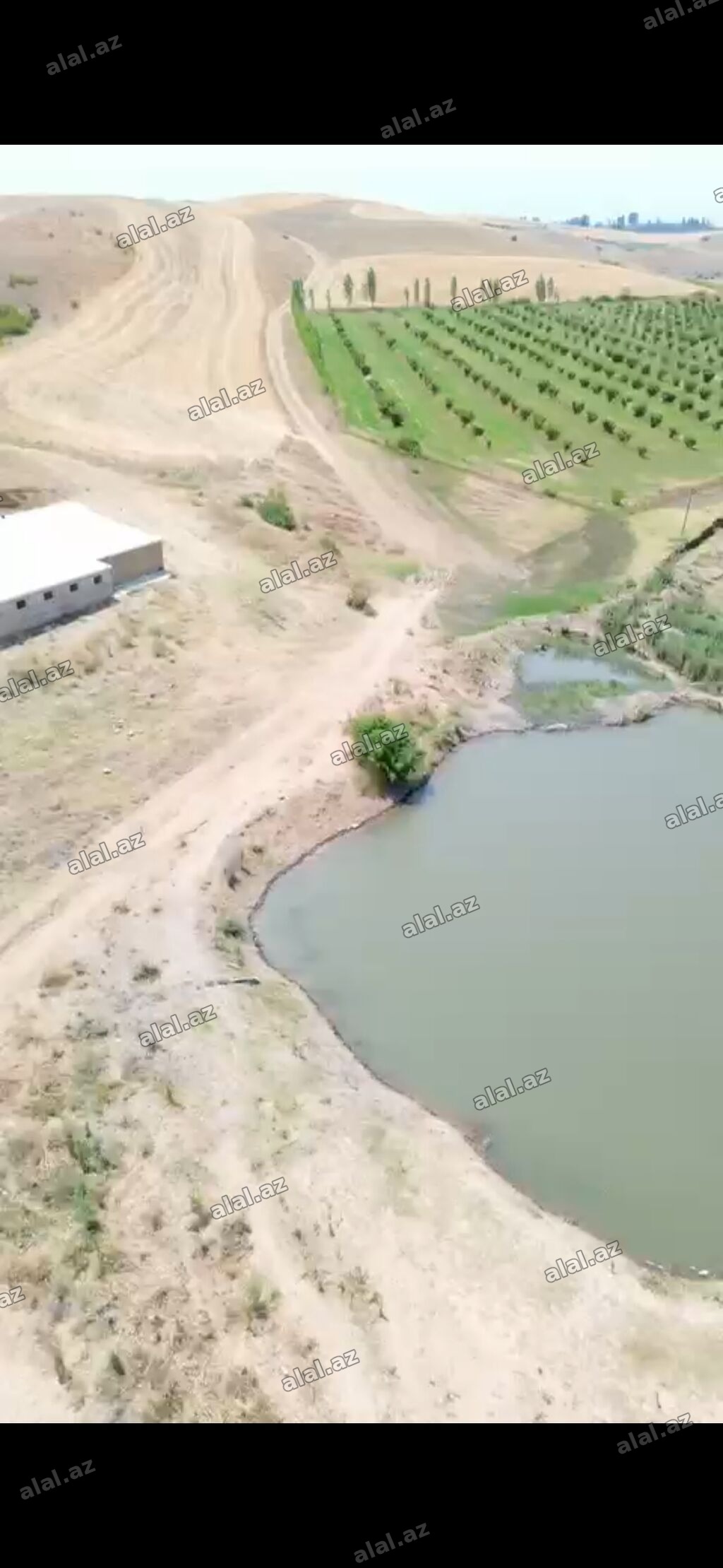 700 sot, Kənd təsərrüfatı, Kupça (Çıxarış)