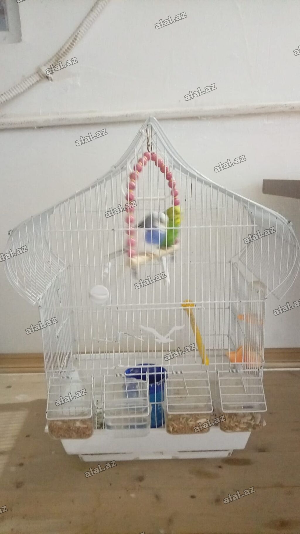 Məhsul: Dalmatin papağanları üçün qəfəs və aksesuarlar paketi.2 quşla