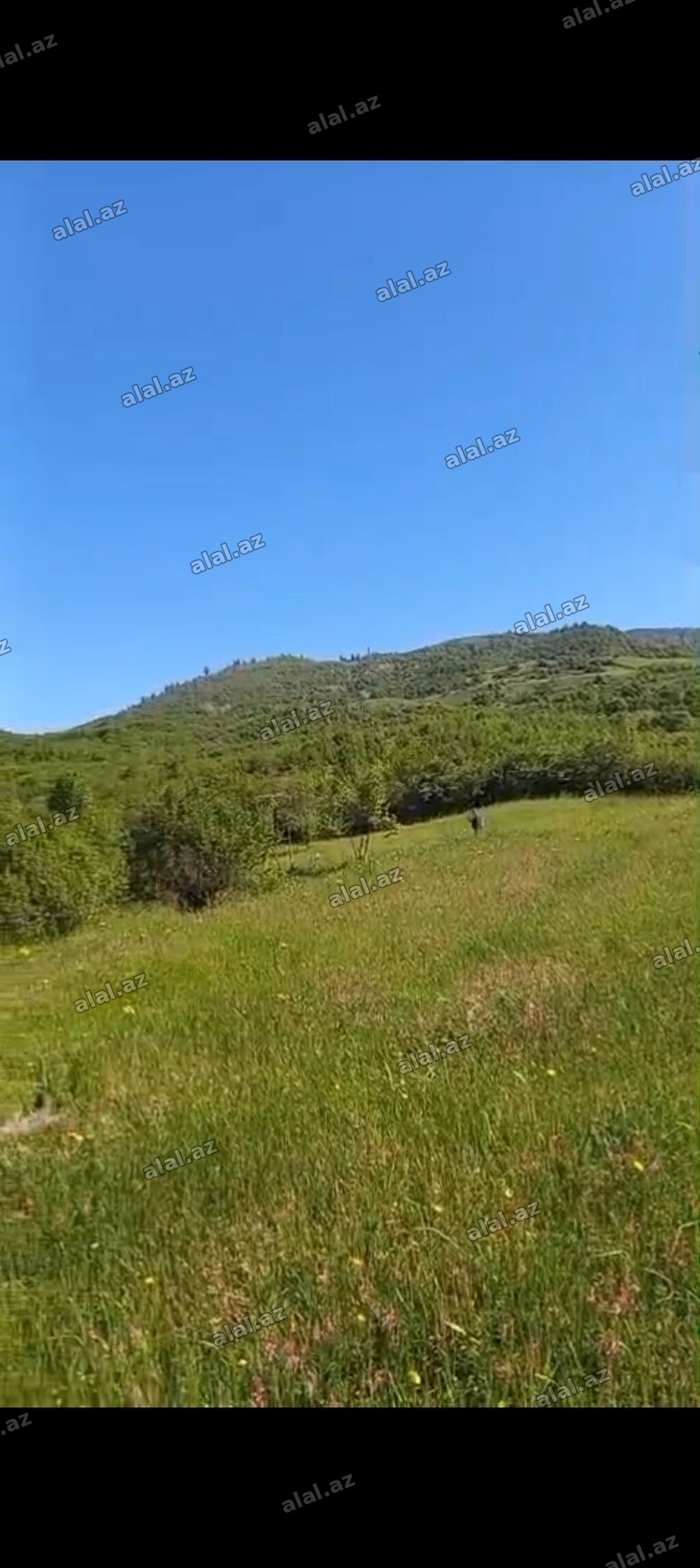 170 sot, Kənd təsərrüfatı, Mülkiyyətçi, Kupça (Çıxarış)