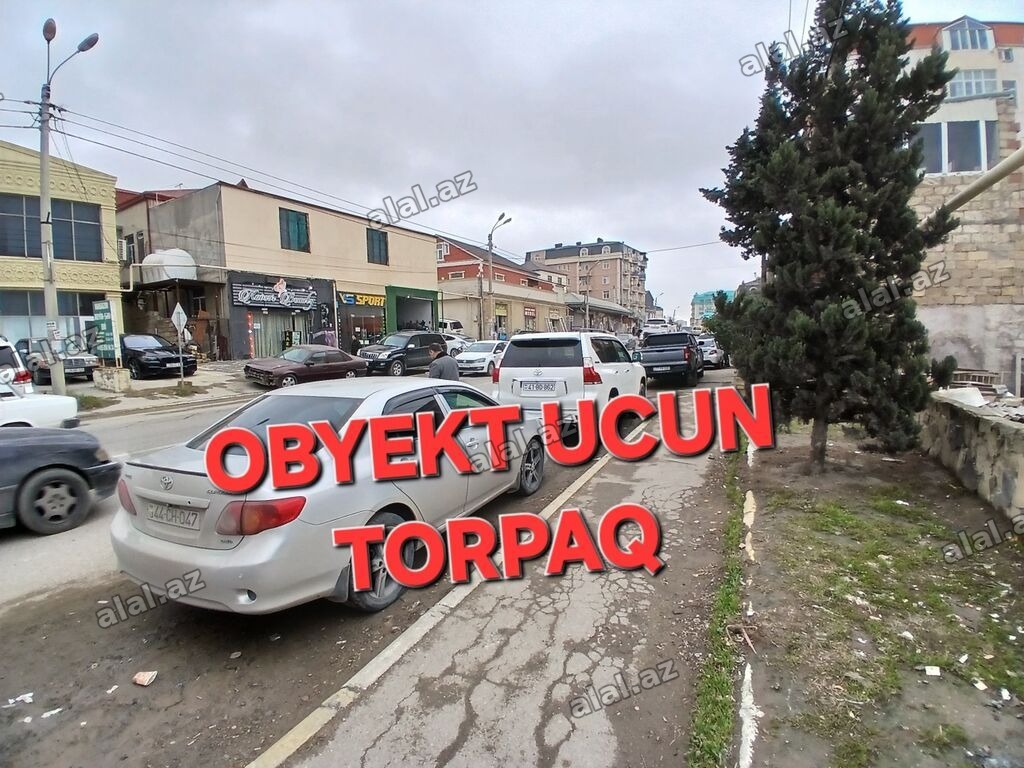 Tikinti, Mülkiyyətçi, Kupça (Çıxarış), Texniki pasport