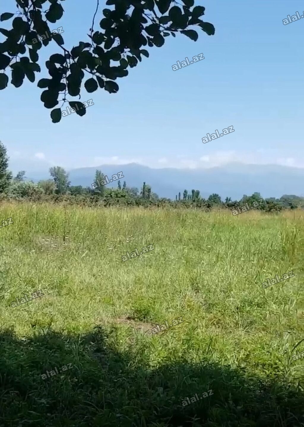 100 sot, Mülkiyyətçi, Kupça (Çıxarış)