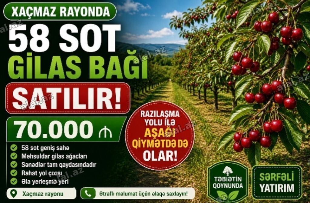 58 sot, Kənd təsərrüfatı