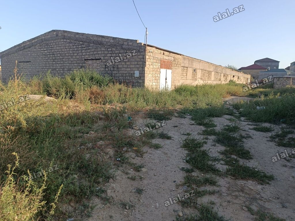 Kənd təsərrüfatı, Barter mümkündür, Kupça (Çıxarış)