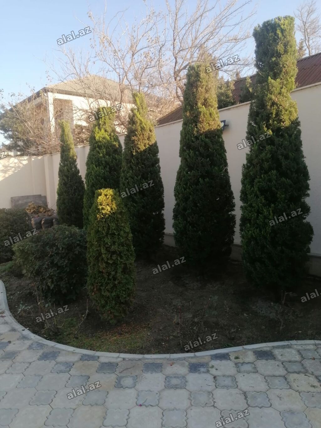Bağban, 44 yaş, 5 ildən artıq təcrübə
