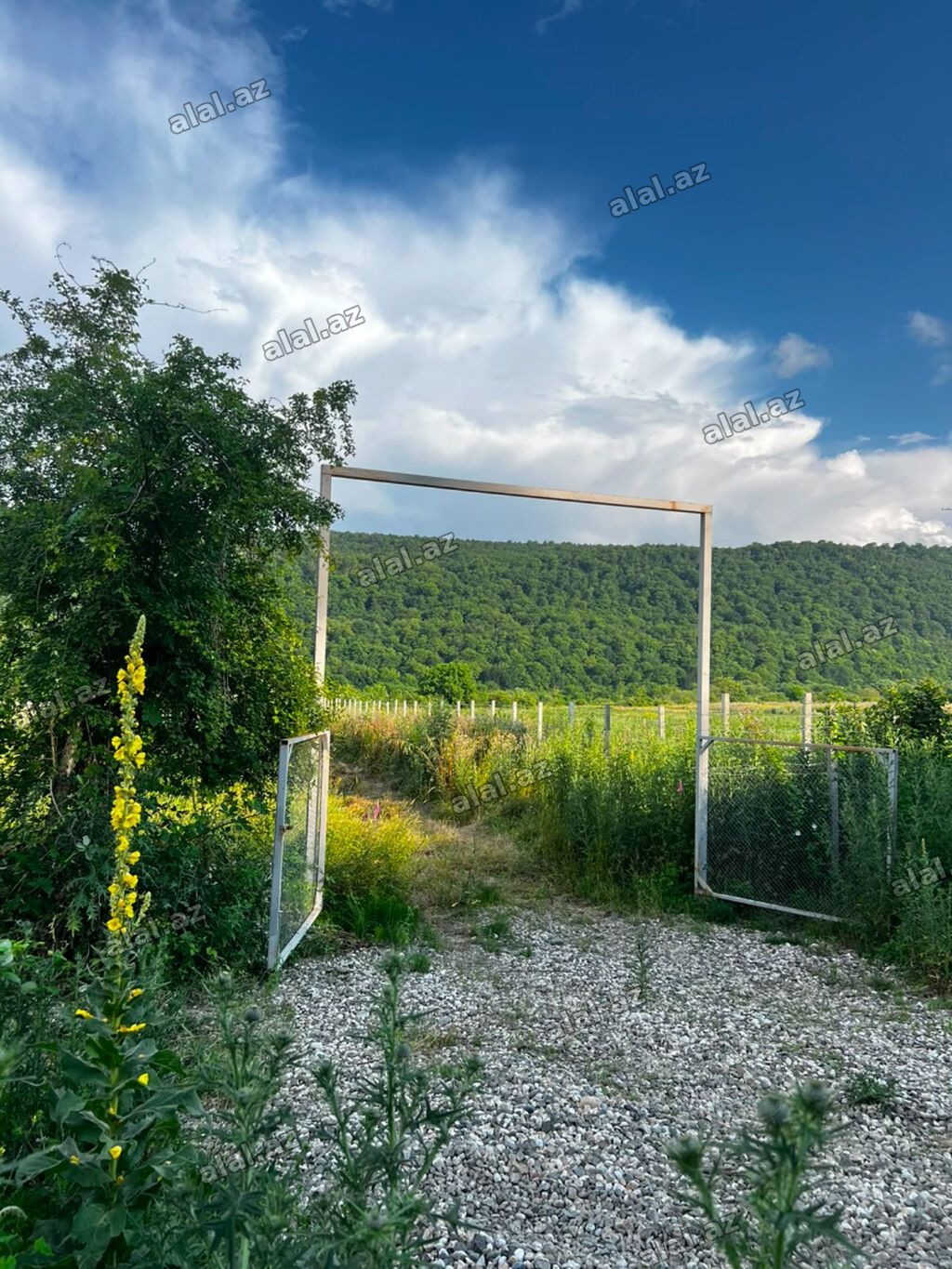5 sot, Biznes üçün, Makler, Kupça (Çıxarış)