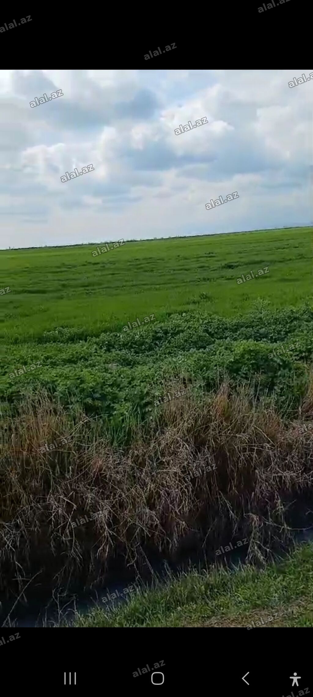 20000 sot, Kənd təsərrüfatı, Kupça (Çıxarış)