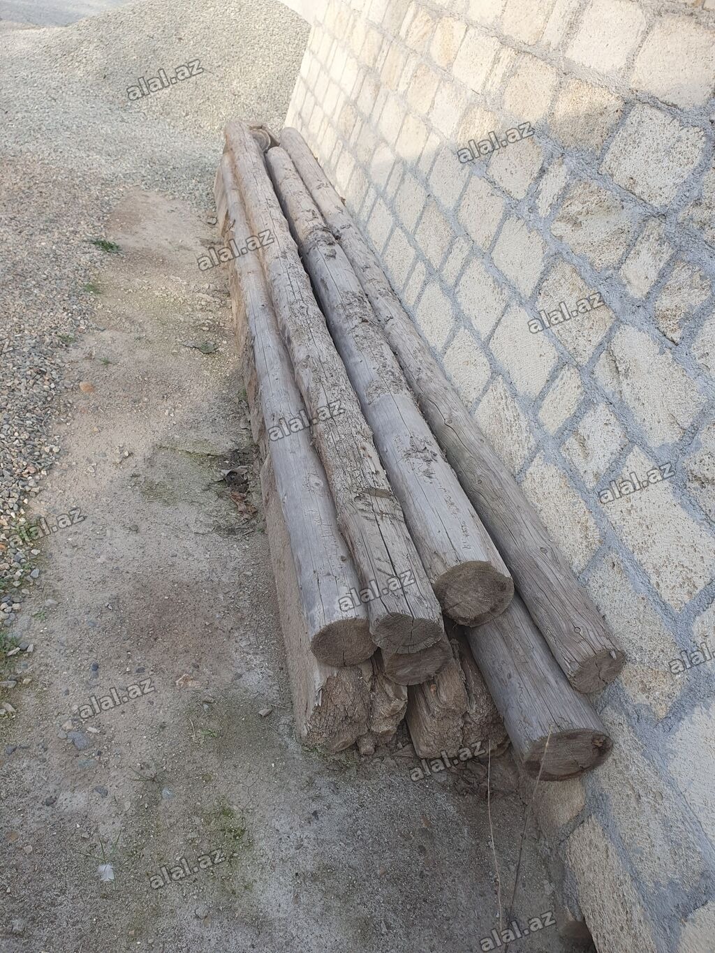 Çox salamat şalbanlardı qırlıdı hamsı