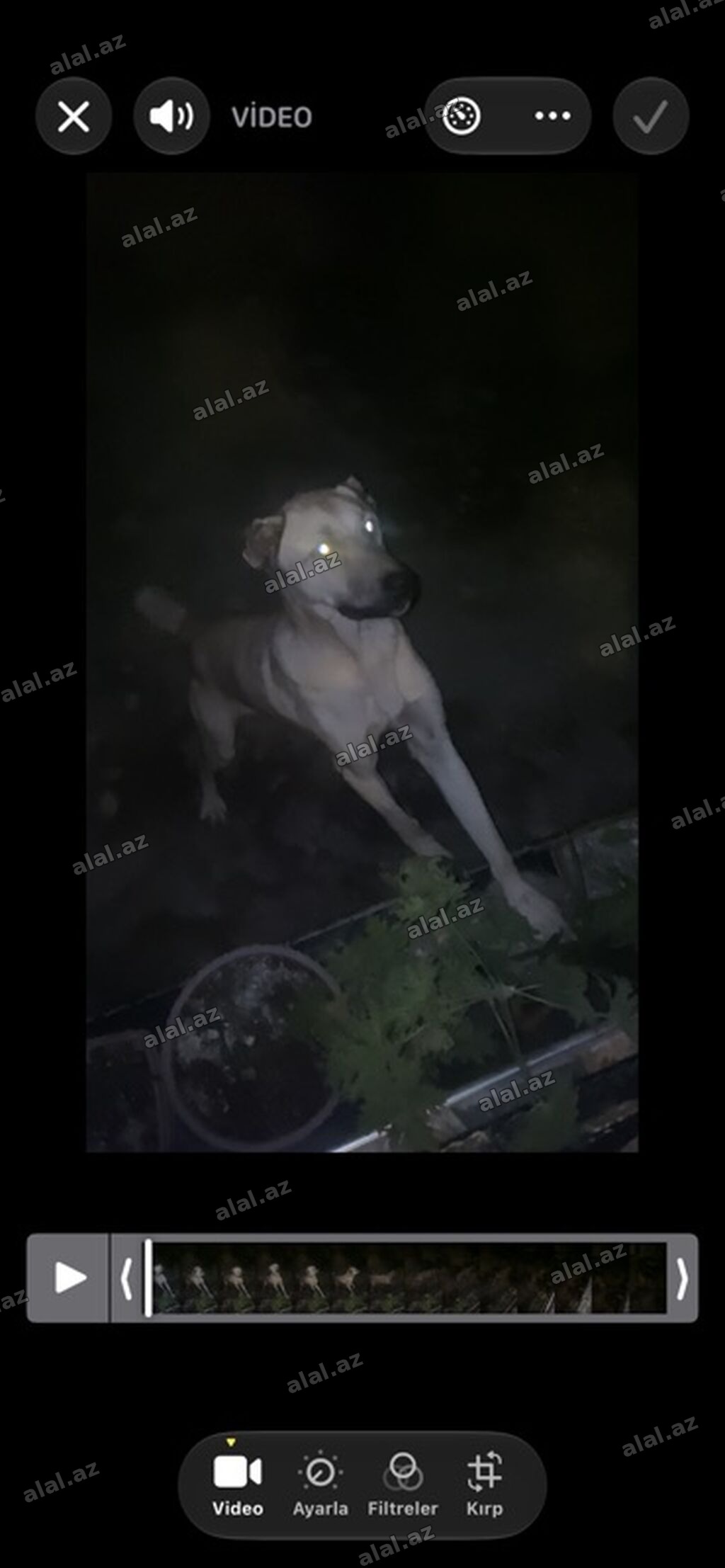 Salam satilir barter ise var moto olar əgər yaxsi moto olsa artiq pul