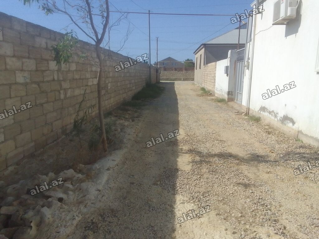 3 sot, Tikinti, Kupça (Çıxarış)