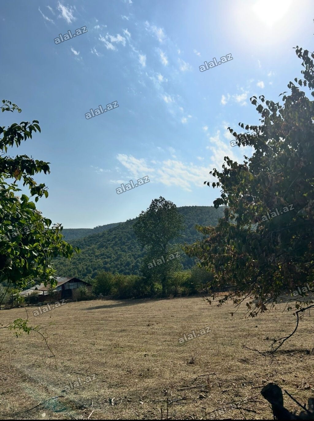 12 sot, Tikinti, Mülkiyyətçi, Kupça (Çıxarış)