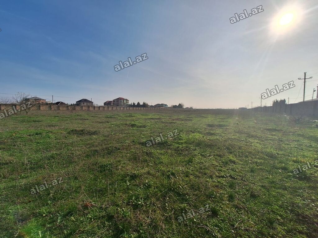 200 sot, Tikinti, Mülkiyyətçi, Kupça (Çıxarış)