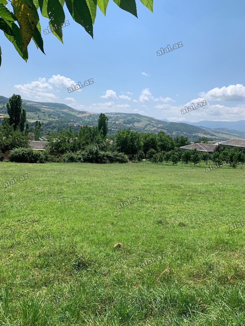 8 sot, Tikinti, Mülkiyyətçi, Kupça (Çıxarış)