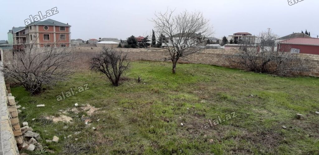 15 sot, Tikinti, Makler, Kupça (Çıxarış)