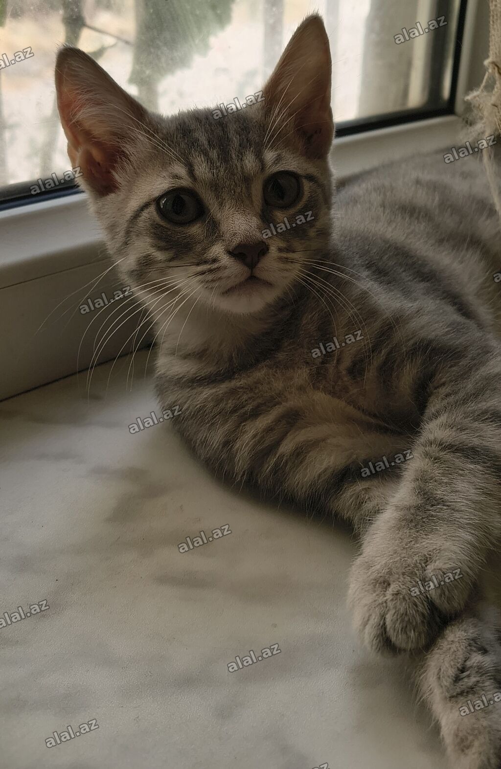 Yaxşı əllərə