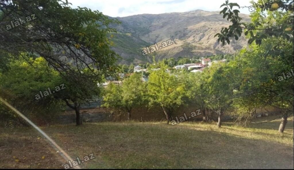 6 sot, Tikinti, Mülkiyyətçi, Kupça (Çıxarış)