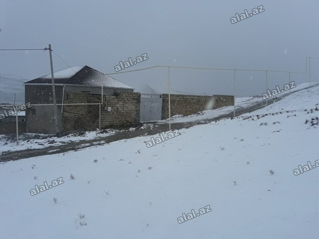 8 sot, Mülkiyyətçi, Kupça (Çıxarış)