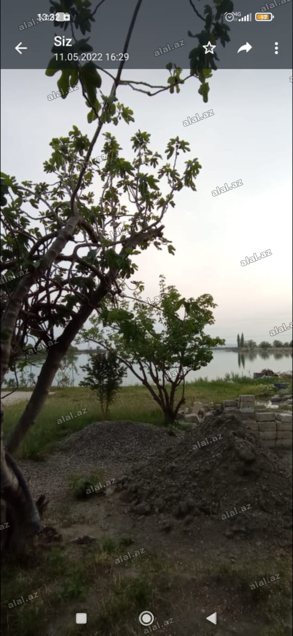 14 sot, Tikinti, Mülkiyyətçi, Kupça (Çıxarış)
