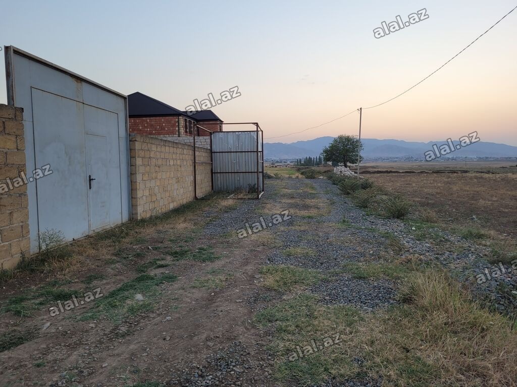 24 sot, Kənd təsərrüfatı, Maklerlər narahat etməsin, Kupça (Çıxarış)
