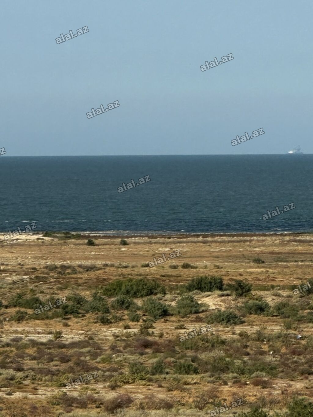 6 sot, Tikinti, Mülkiyyətçi, Kupça (Çıxarış)