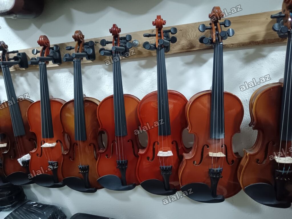 Skripkaların satışı Alışı təmiri barteri