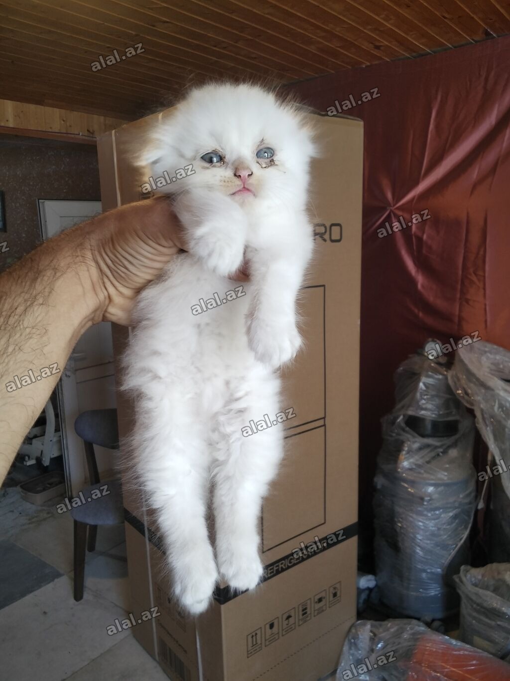 Yaxşı əllərə