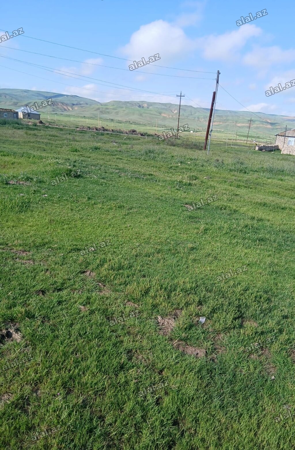 Tikinti, Mülkiyyətçi, Kupça (Çıxarış)
