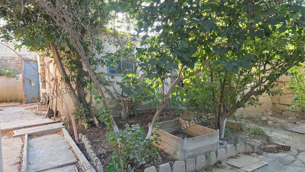 1 sot, Tikinti, Makler, Kupça (Çıxarış)