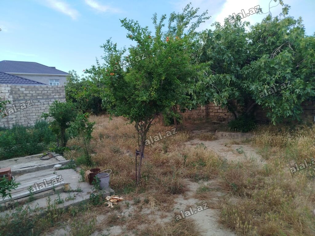 4 sot, Tikinti, Mülkiyyətçi, Kupça (Çıxarış)