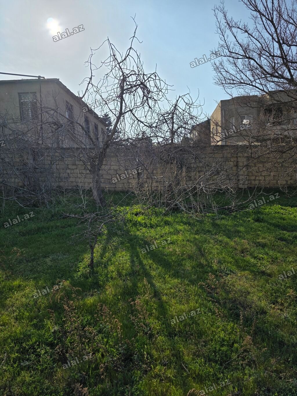 6 sot, Tikinti, Makler, Kupça (Çıxarış), Texniki pasport