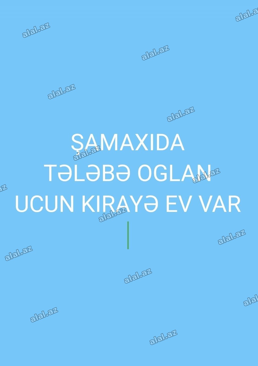 Şamaxıda tələbə oğlan üçün kirayə ev verilir mərkəzi univermag yani