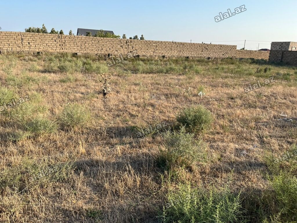 3 sot, Kənd təsərrüfatı, Mülkiyyətçi, Bələdiyyə