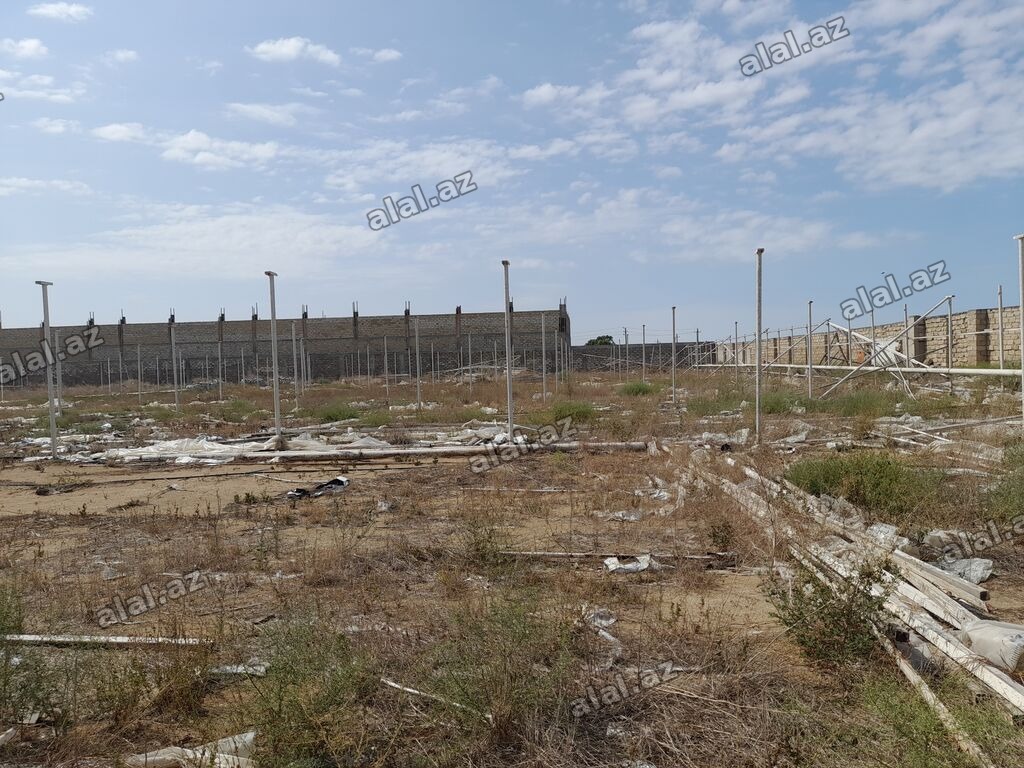 135 sot, Biznes üçün, Kupça (Çıxarış)