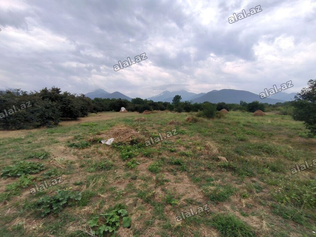 250 sot, Tikinti, Mülkiyyətçi, Kupça (Çıxarış)