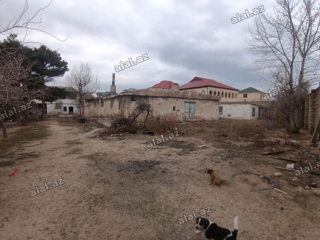 22 sot, Kupça (Çıxarış)