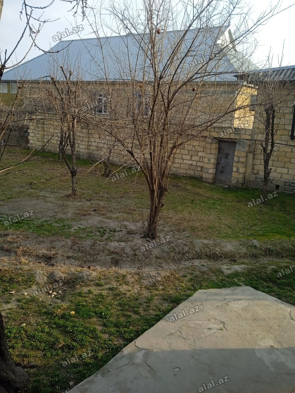10 sot, Kənd təsərrüfatı, Mülkiyyətçi, Kupça (Çıxarış)