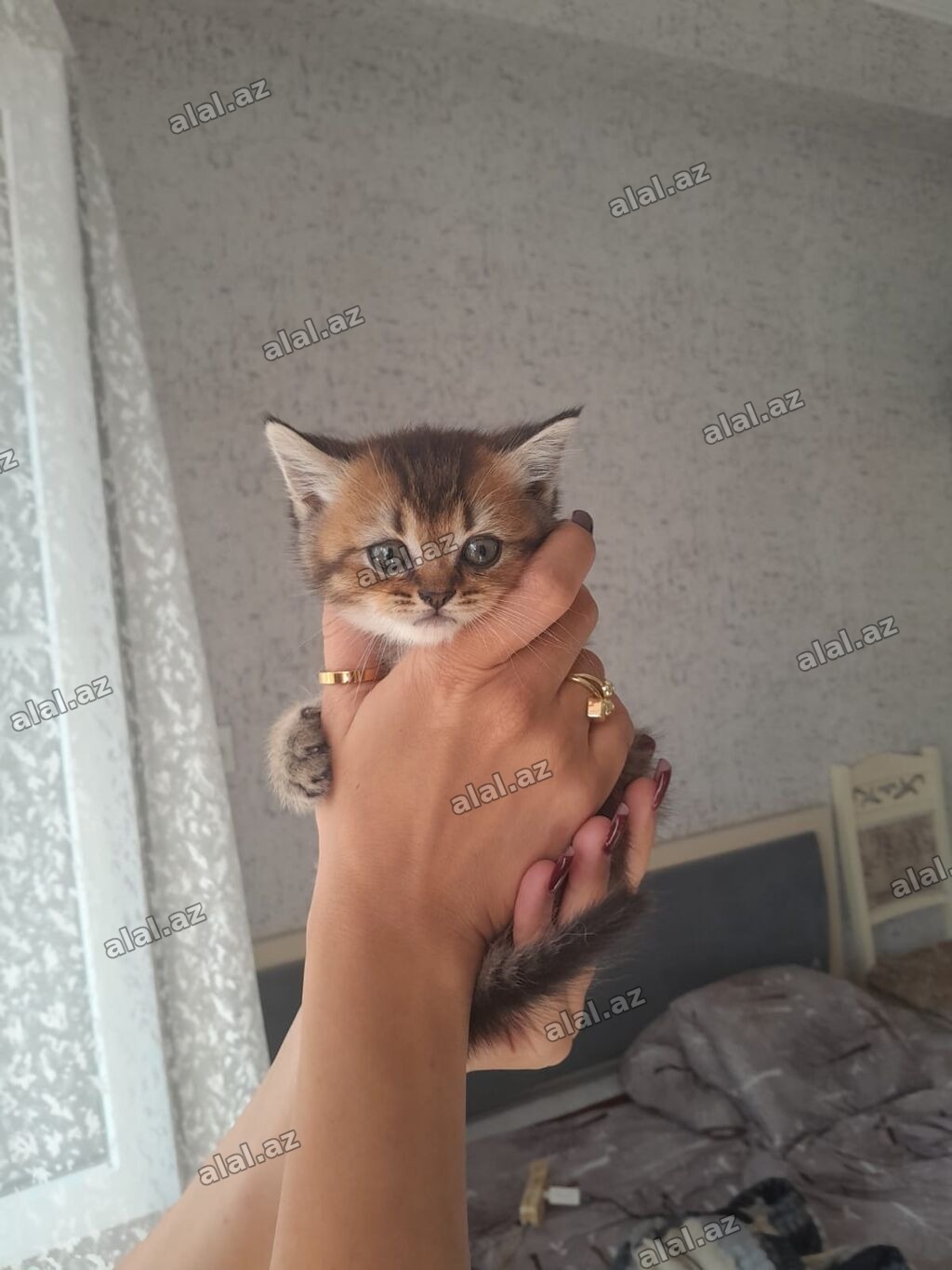 Yaxşı əllərə