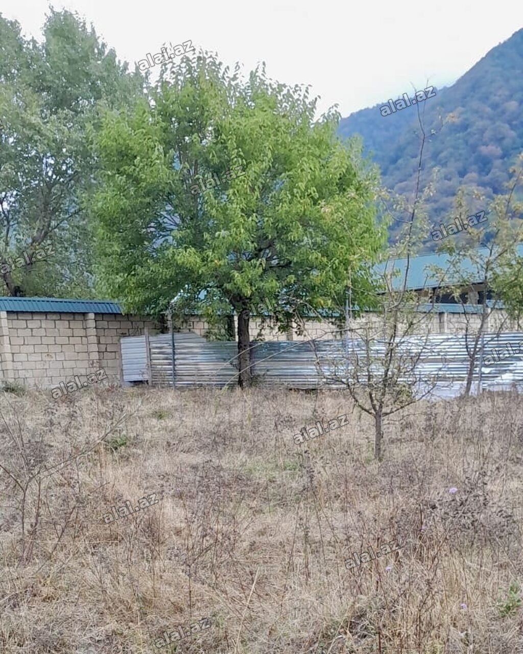 26 sot, Tikinti, Mülkiyyətçi, Kupça (Çıxarış)